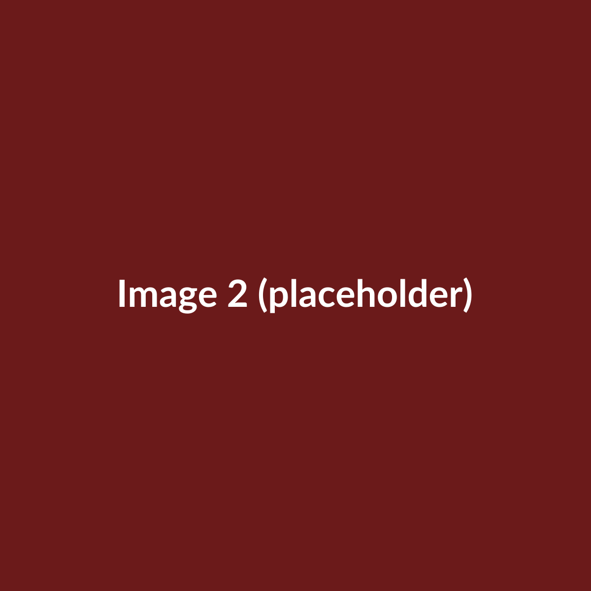 Placeholder produit principal 2