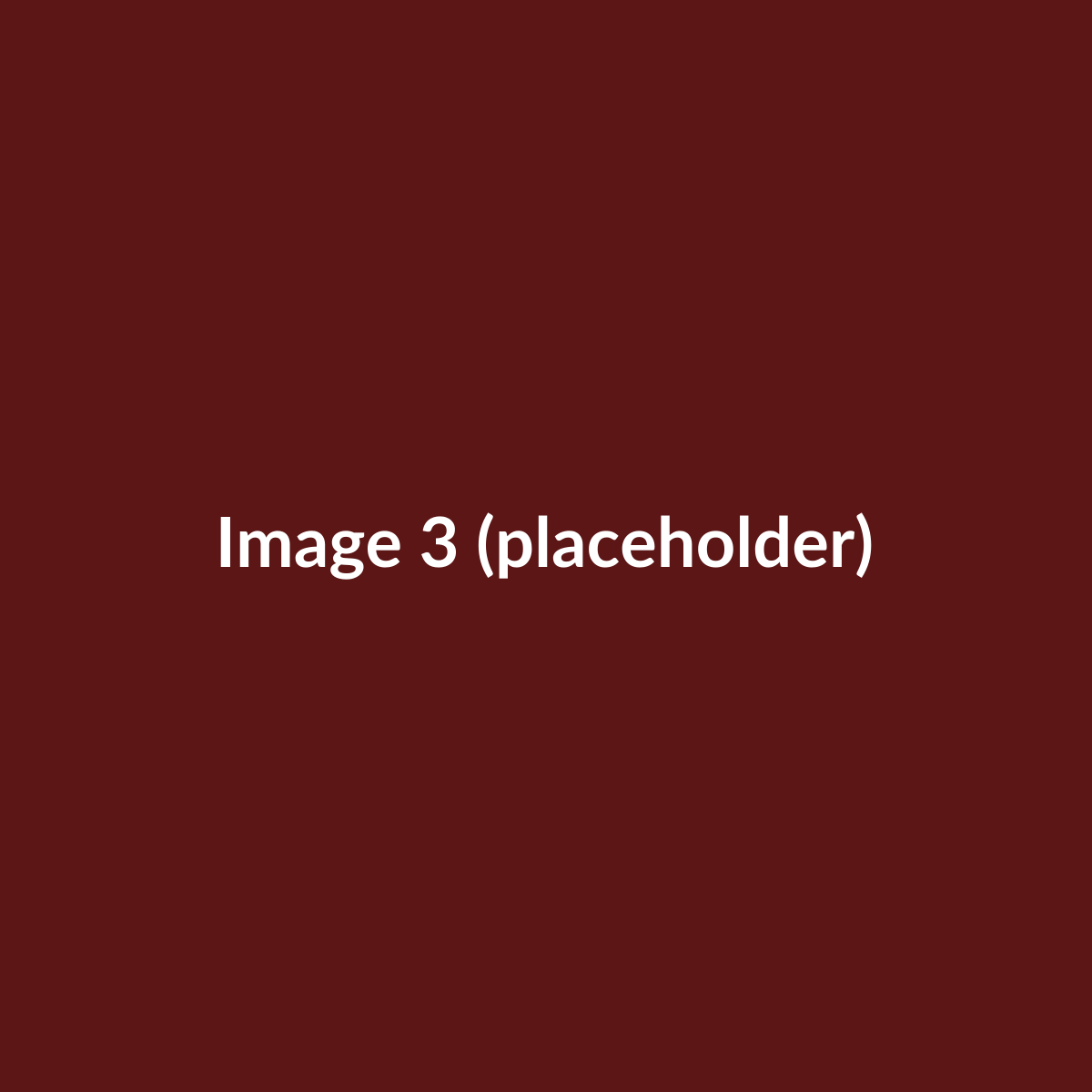 Placeholder produit principal 3